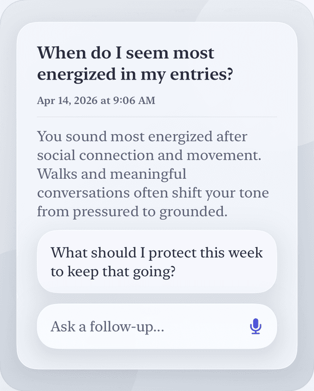Ask Entries feature preview